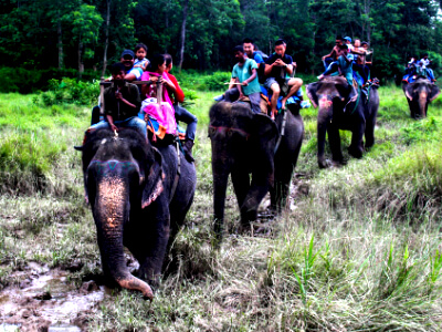 Elephat back safari in Chitwan national Park